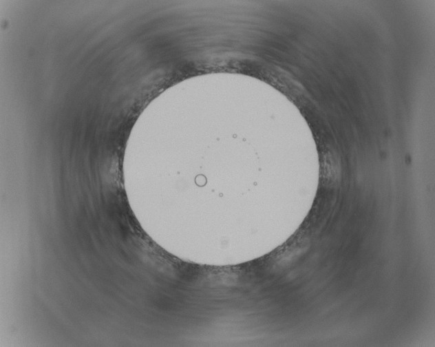 X0000074340820200609152119