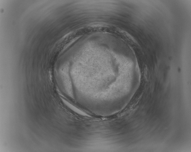 X0000074340821200609152120