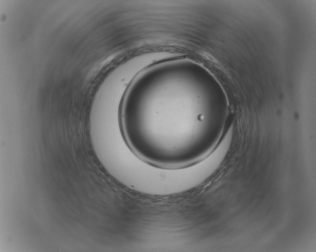 X0000074340822200609152120