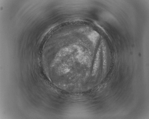 X0000074340823200609152120