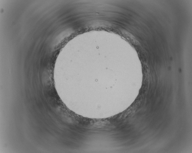 X0000074340824200609152120