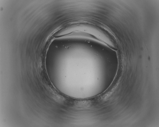 X0000074340826200609152120