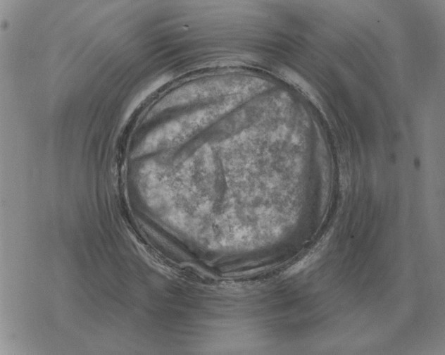 X0000074340827200609152120