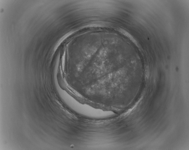 X0000074340829200609152120