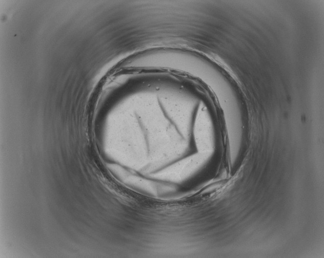 X0000074340830200609152120