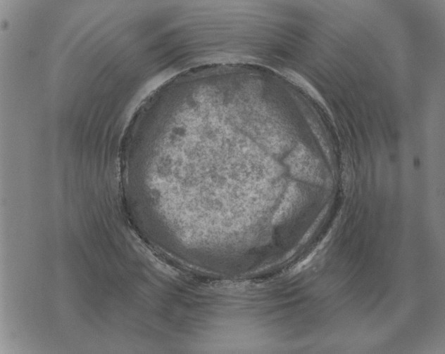 X0000074340831200609152120