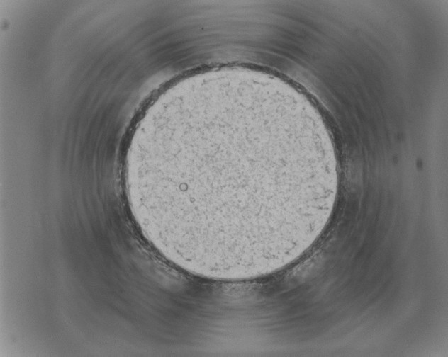 X0000074340832200609152120