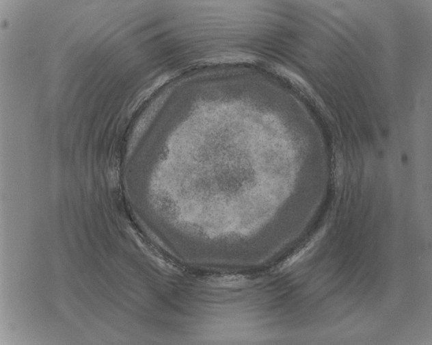 X0000074340833200609152120