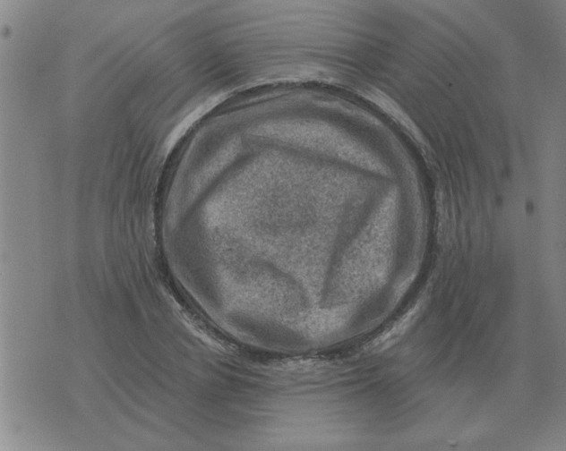 X0000074340834200609152120