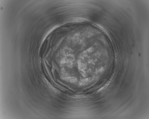 X0000074340835200609152120