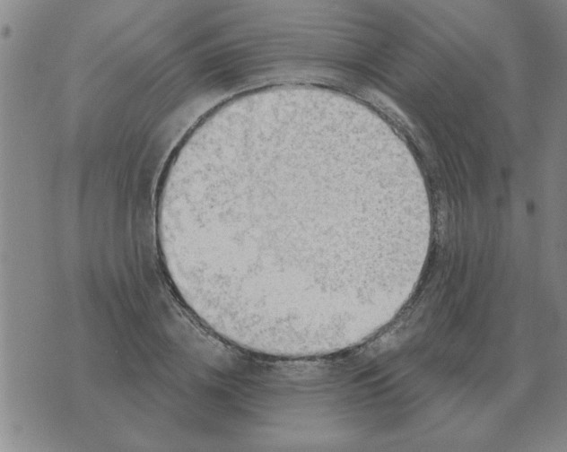 X0000074340836200609152120