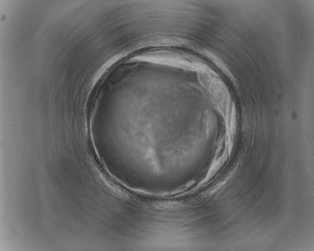 X0000074340837200609152120