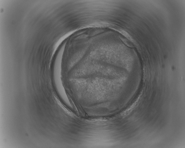 X0000074340838200609152120