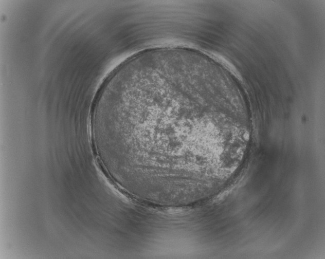 X0000074340839200609152120