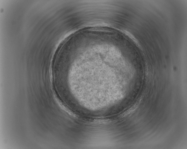 X0000074340840200609152120