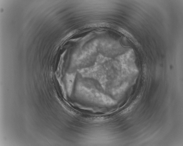 X0000074340841200609152120