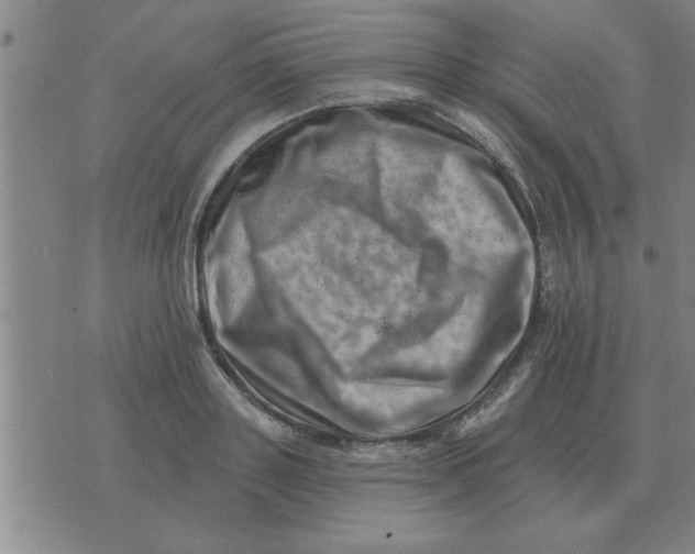 X0000074340843200609152120