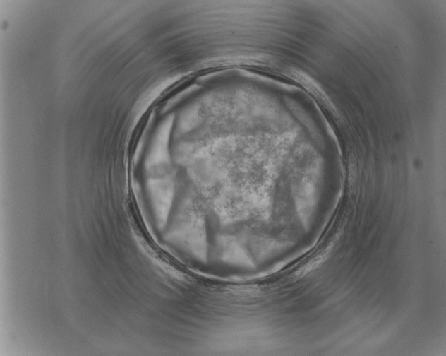 X0000074340844200609152120