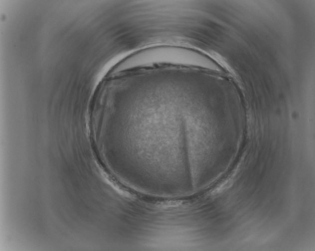 X0000074340846200609152120