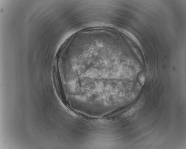 X0000074340847200609152120