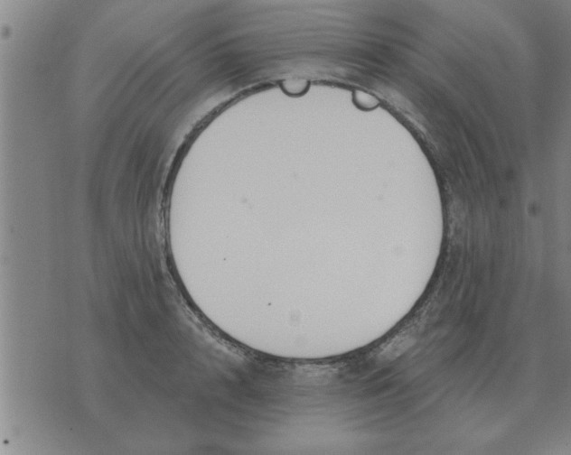 X0000074340848200609152120