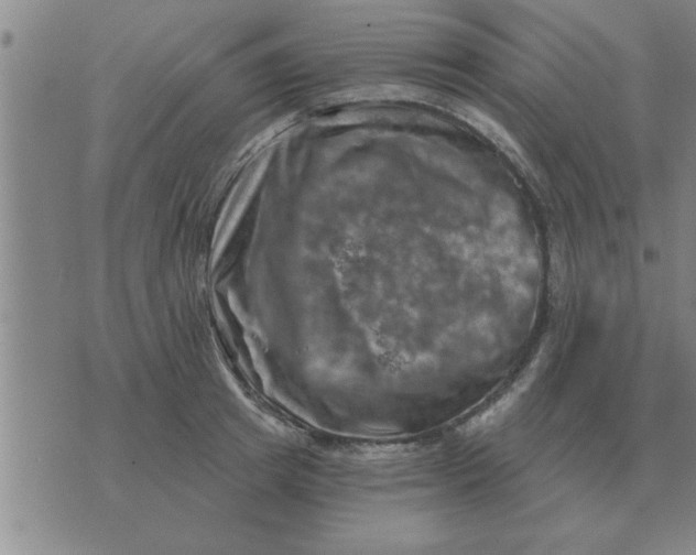 X0000074340849200609152120