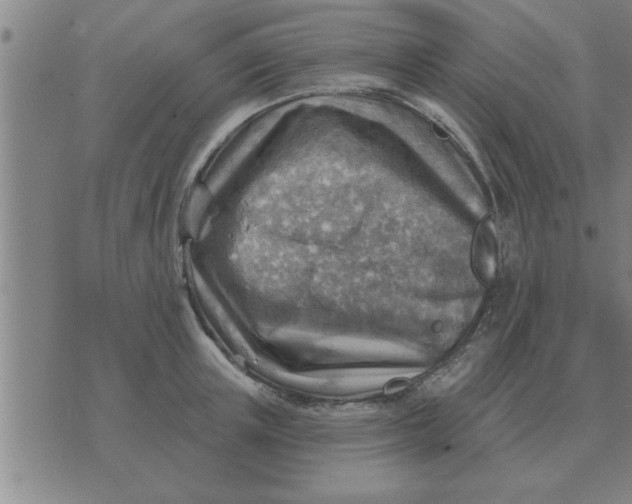 X0000074340851200609152120