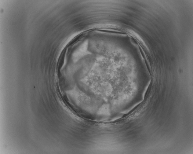 X0000074340852200609152120