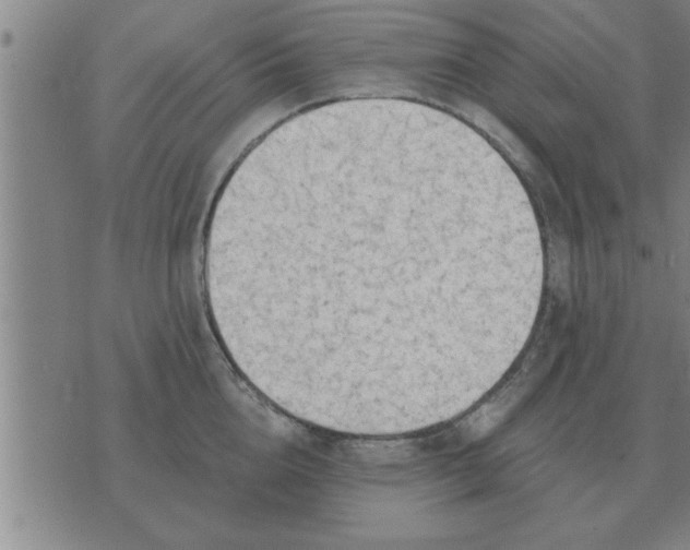 X0000074340856200609152120