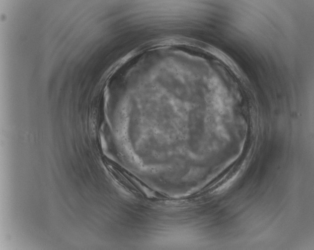 X0000074340857200609152120