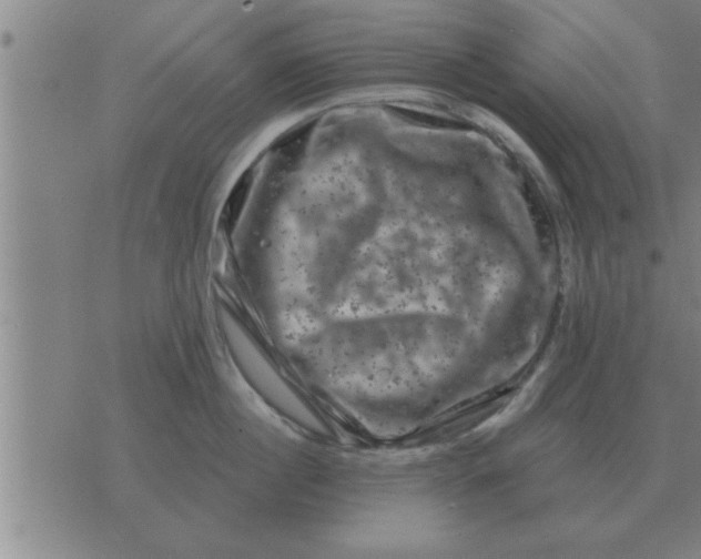 X0000074340860200609152120