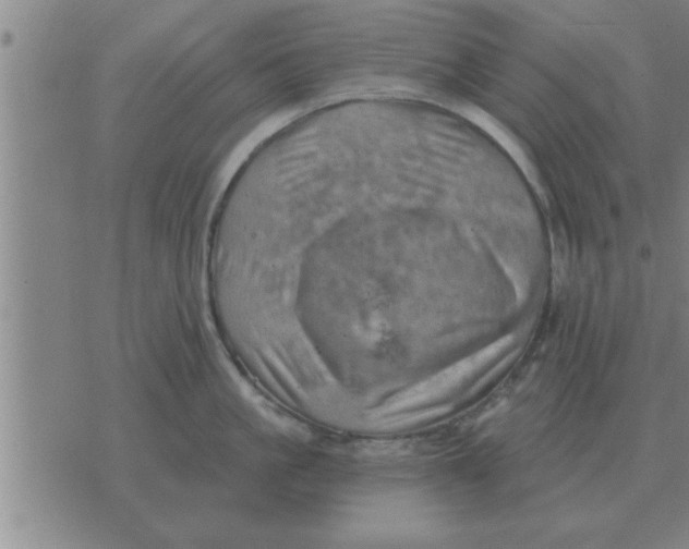 X0000074340861200609152120