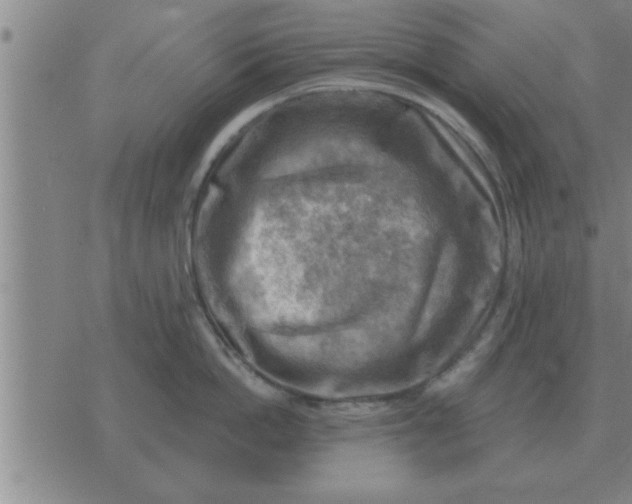 X0000074340862200609152120