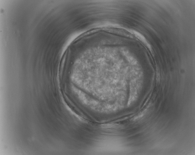 X0000074340863200609152120