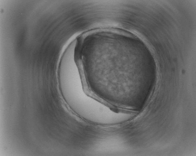 X0000074340864200609152120