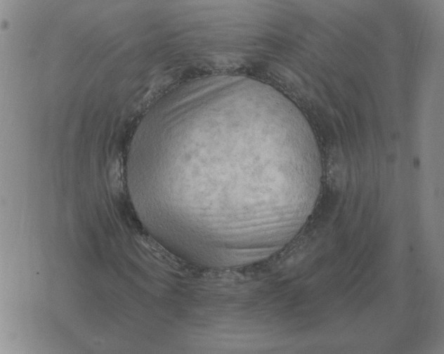 X0000074340866200609152119