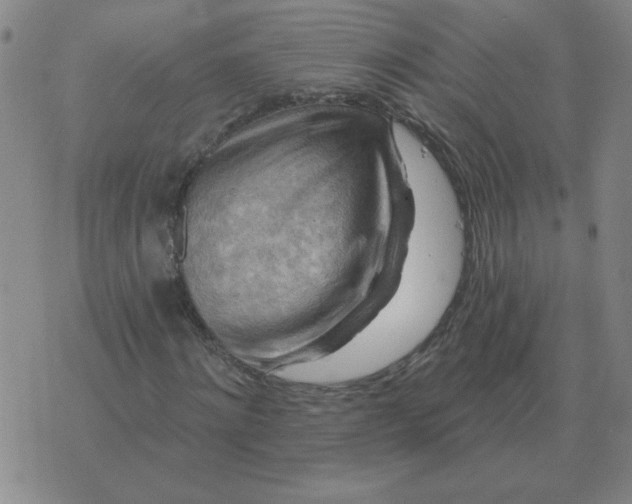 X0000074340868200609152119