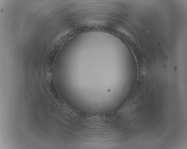 X0000074340869200609152119