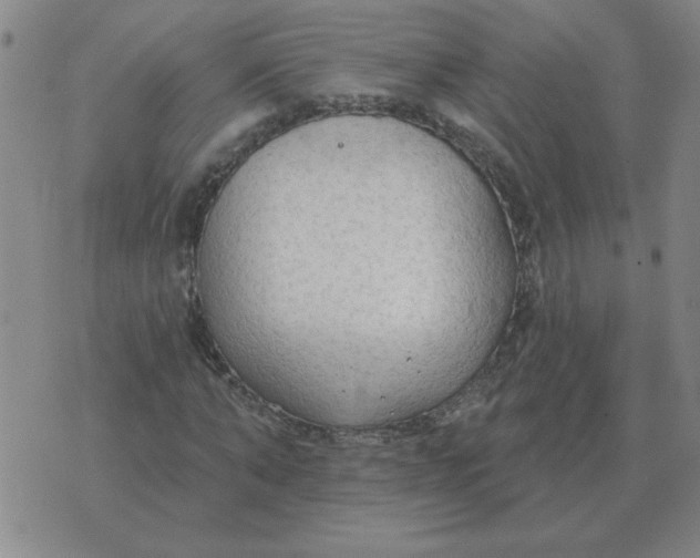 X0000074340870200609152119