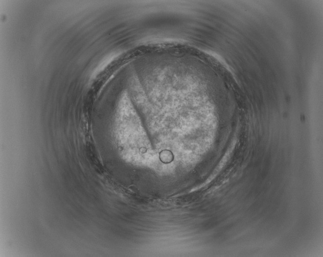 X0000074340871200609152119