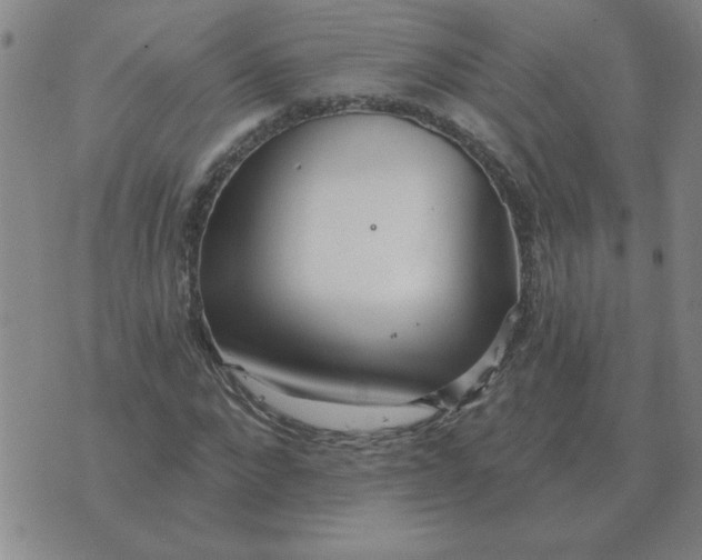 X0000074340872200609152119