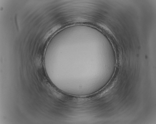 X0000074340873200609152119