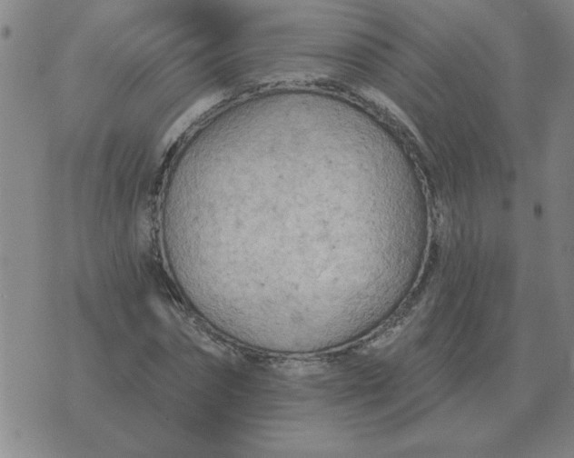 X0000074340874200609152119