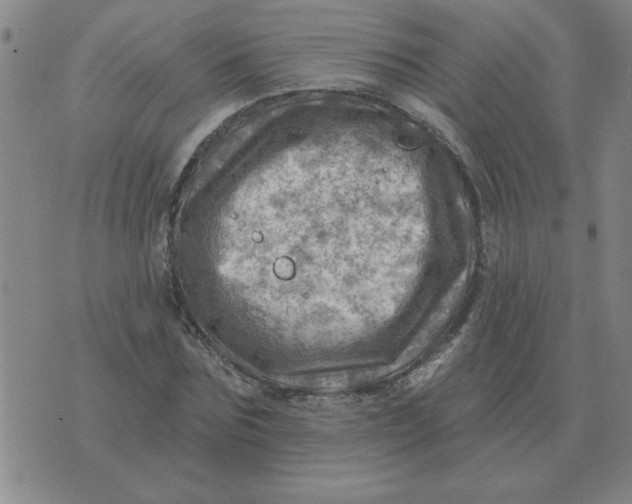 X0000074340875200609152119