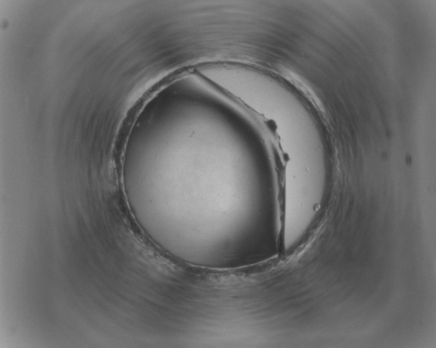 X0000074340876200609152119