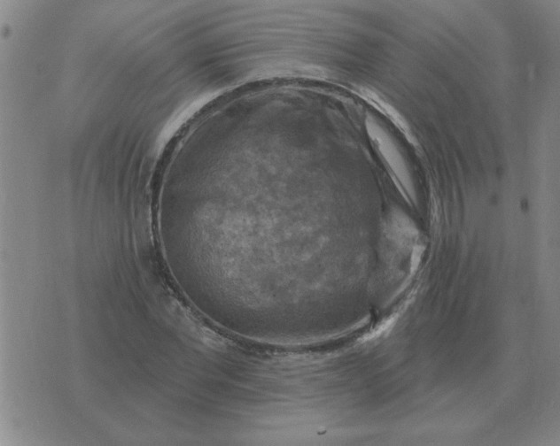 X0000074340877200609152119