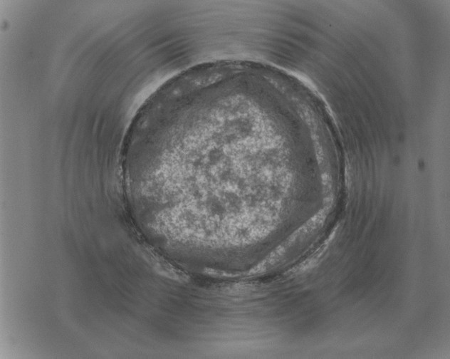 X0000074340879200609152119