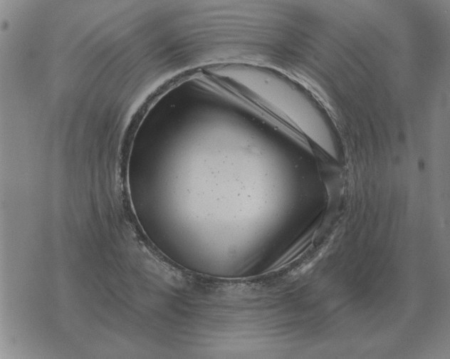 X0000074340880200609152119