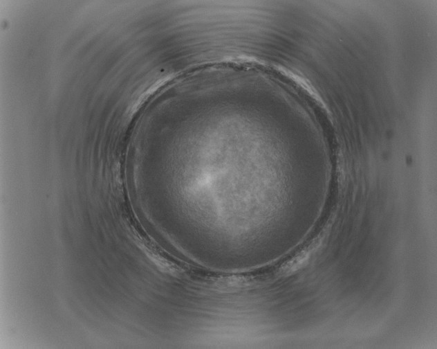 X0000074340881200609152119