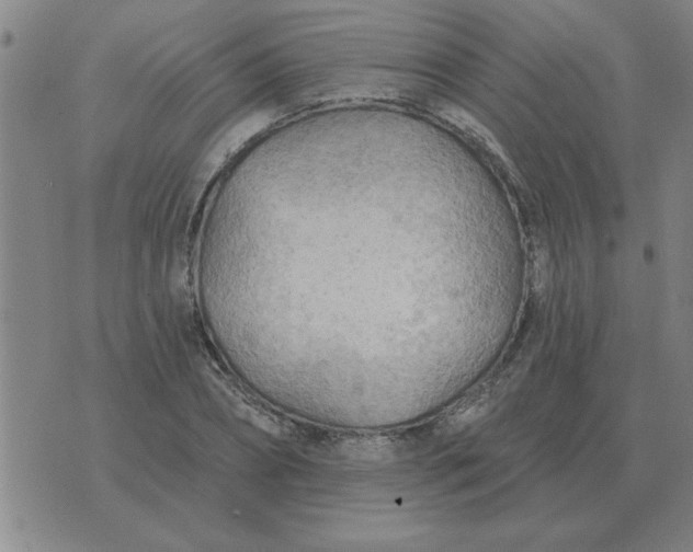 X0000074340882200609152119